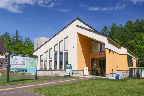 びえい「白金ビルケ」