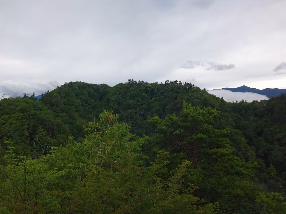 諏訪山