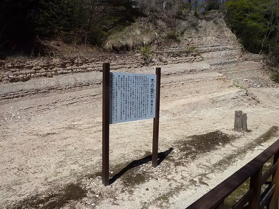塩原湖成層と木の葉石