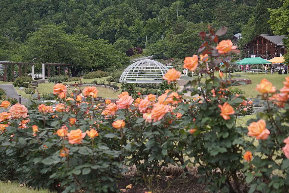 東沢バラ公園