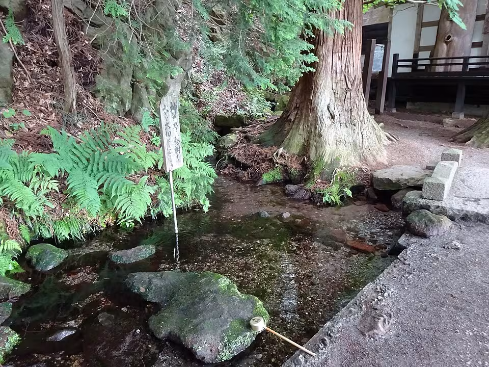八ヶ岳南麓高原湧水群