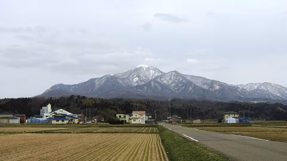 米山